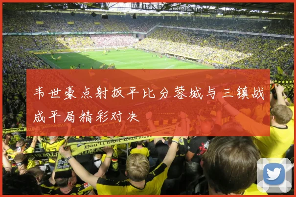 韦世豪点射扳平比分蓉城与三镇战成平局精彩对决